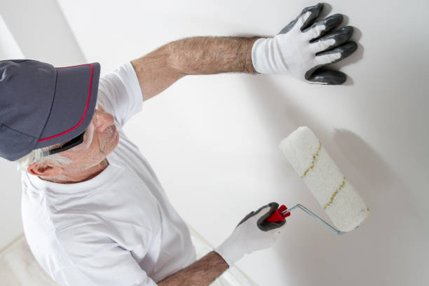 Best Mold Damage Restoration  in Han, GA