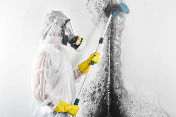 Best Post-Remediation Verification Testing  in Han, GA