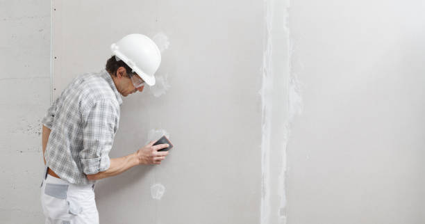 Best Black Mold Removal  in Han, GA
