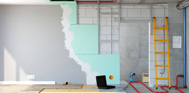 Best Basement Mold Removal  in Han, GA