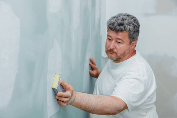 Best Environmental Consulting for Mold Prevention  in Han, GA