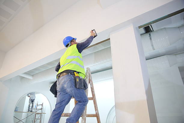 Best Mold Remediation for Healthcare Facilities  in Han, GA