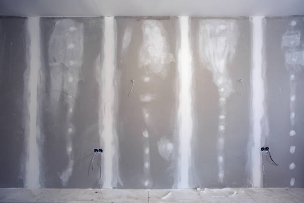Best Mold Documentation for Insurance Claims  in Han, GA